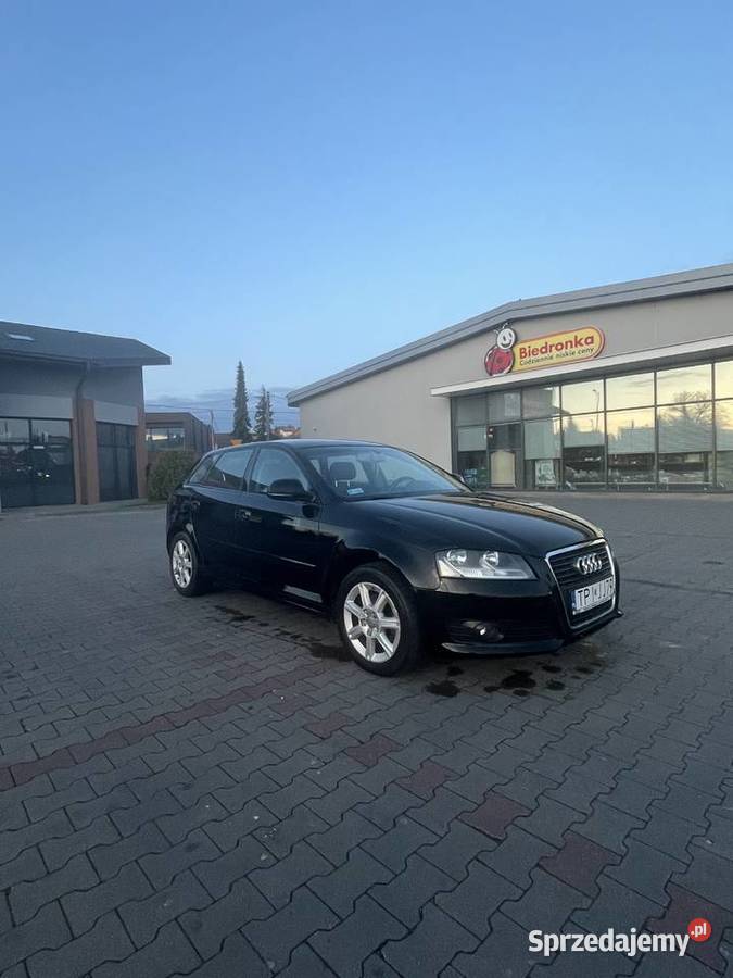 Audi a3 8p 19TDI świętokrzyskie