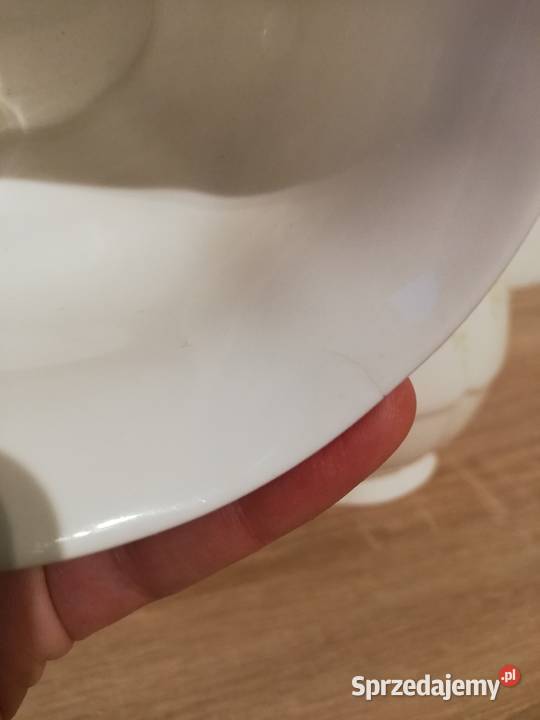 Porcelana Angielska letnie róże Ropa