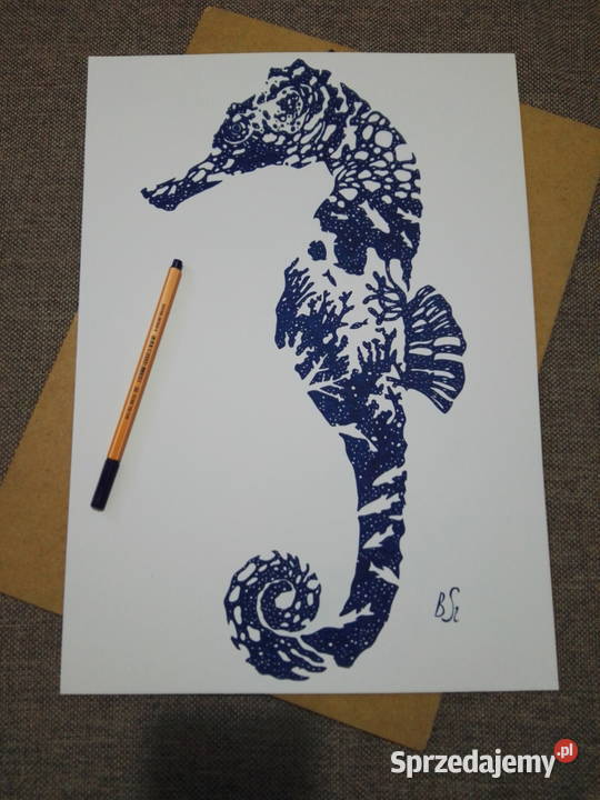 Rysunek konik morski 2 cienkopis b tec A3 250 mazowieckie Warszawa