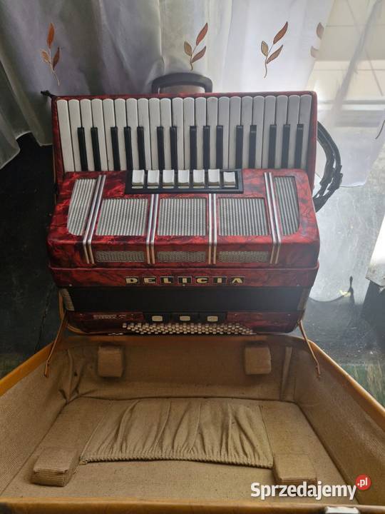 DELICIA CARMEN XII akordeon Bytom