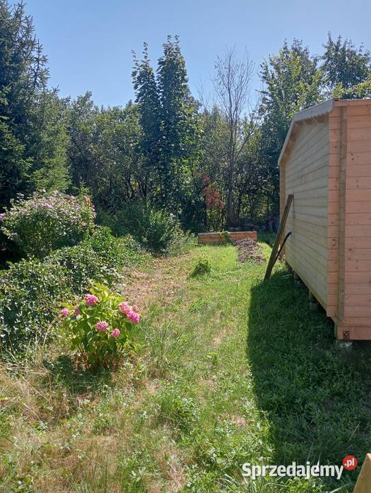 Działka na ROD Przodownik z całorocznym domkiem Kraków