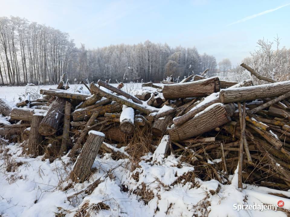 Drzewo opałowe kujawsko-pomorskie Lubień Kujawski