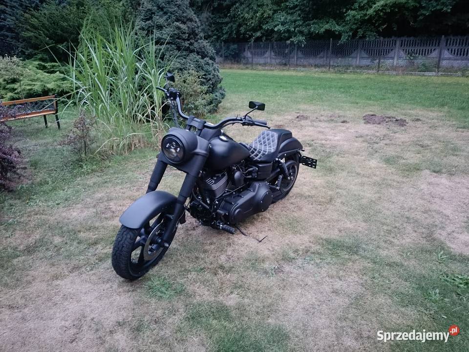 Harley Davidson łódzkie Gomunice