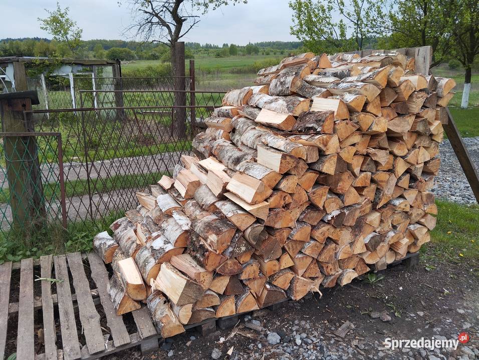 Drewno kominkowe opałowe 692805945 Dąbrowa Górnicza