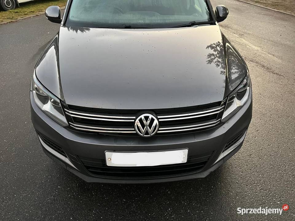 VW Tiguan ANGLIK Mroczeń