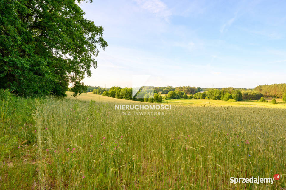 Kameralne działki budowlane w Kłodawie 1725 ar Kłodawa sprzedam