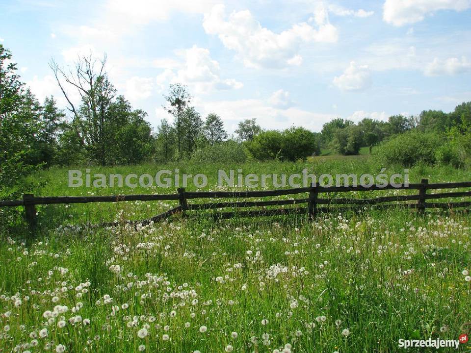 działka 32500m2 Piaski Duchowne Piaski Duchowne