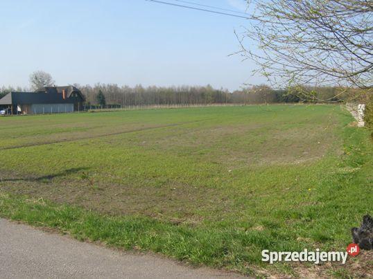 działkę rolno budowlaną Żdżarów Żdżarów sprzedam