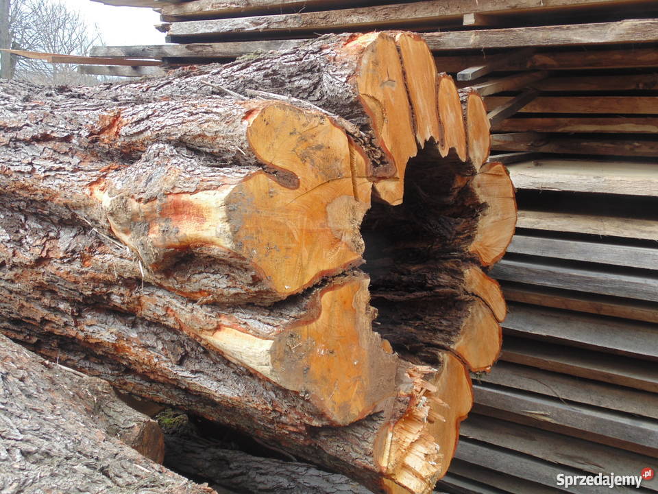 Bruk drewniany kosta drewniana pieńki plastry do małopolskie Izdebnik