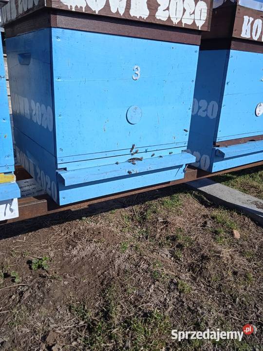 Odkłady pszczele Góry Kluczkowickie