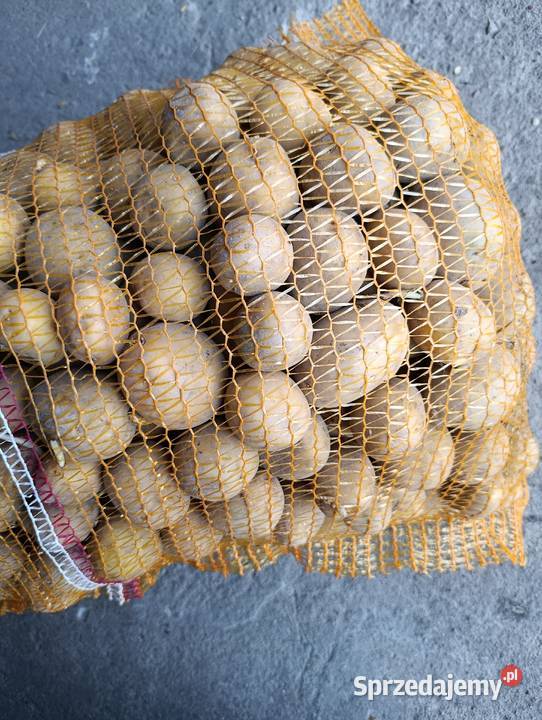 Ziemniaki GALA lubelskie sprzedam