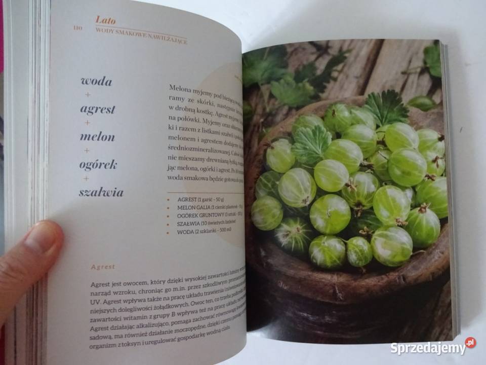 Zdrowe Wody Czyli Pyszne Wody Smakowe Izotoniki Poznań