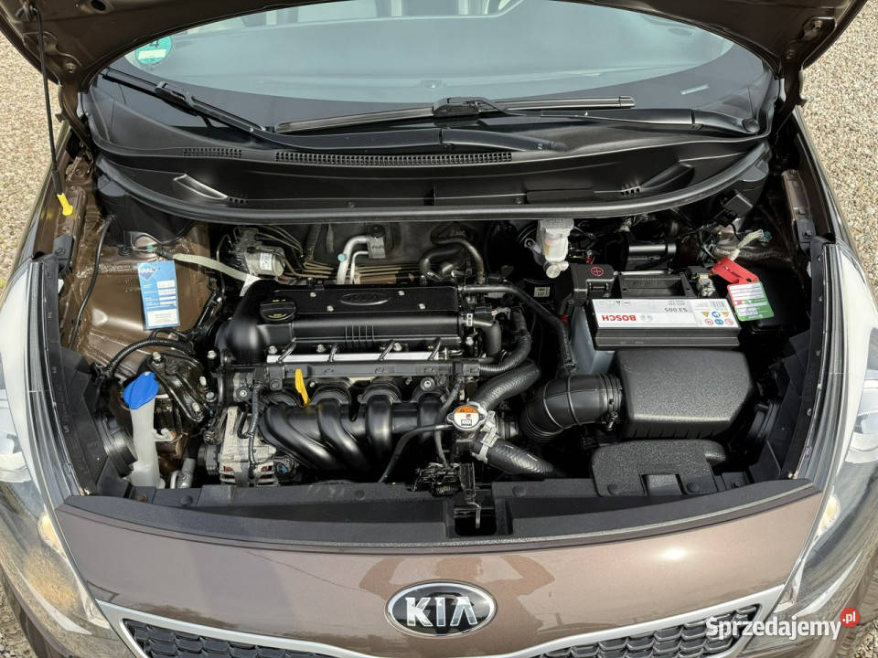 Kia Rio ledyaluskórynowy rozrządz Niemiec III Dąbrowa