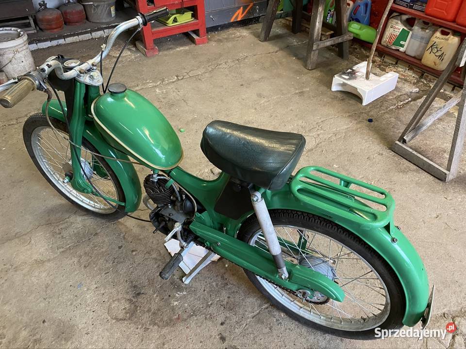 Komar zarejestrowany Wrocław