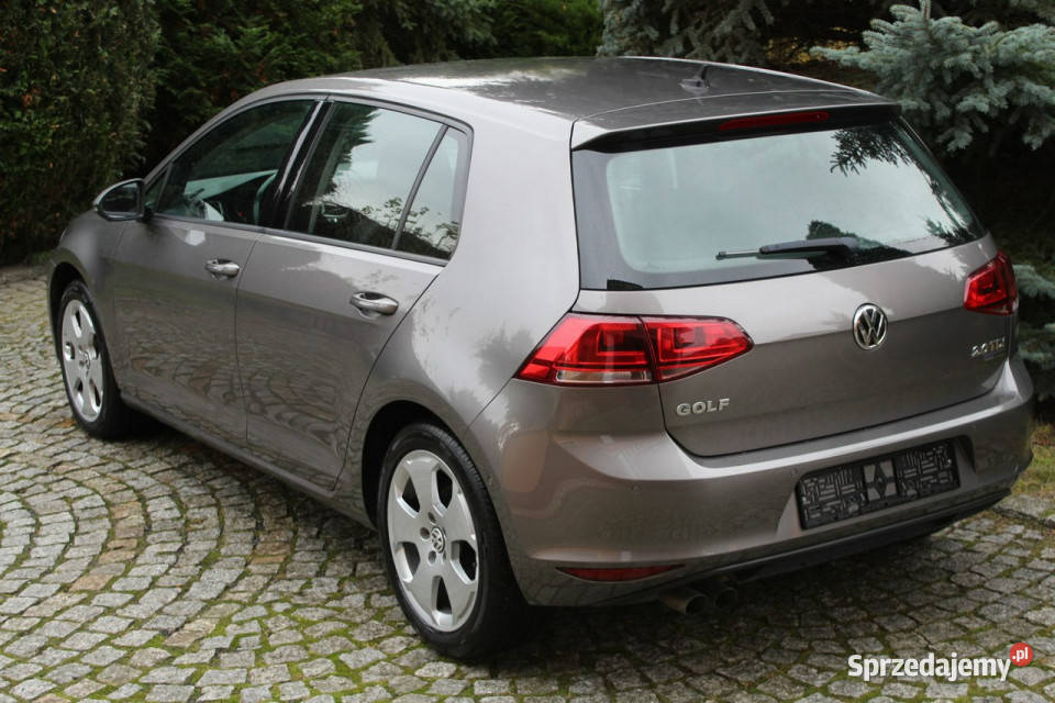 Volkswagen Golf 20 TDI 150 DSG 188 VII 2012 kurtyny powietrzne dolnośląskie Lubań