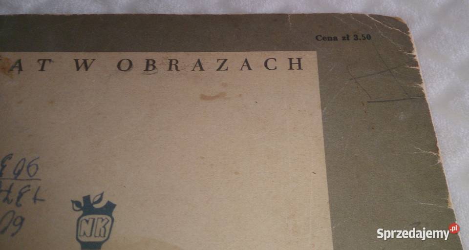 Roman Owidzki Bociany wracają Książka Rok wydania 1957 Czeladź