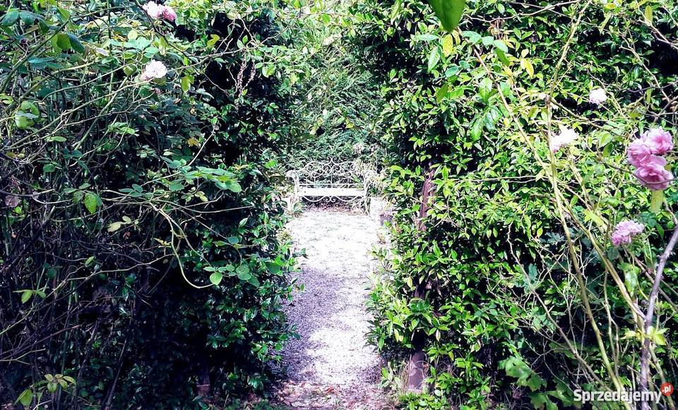 Projekt ogrodu projektowanie i zakładanie Piaseczno