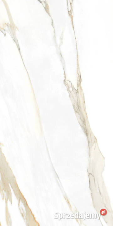 terrakota 008 gres 60120 satuario crema poler