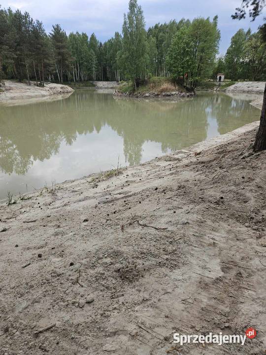 Staw koparka long faszyna prace ziemne i