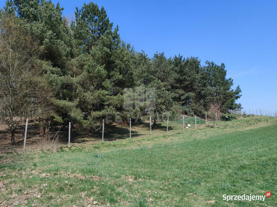 sprzedaży gruntu Rąb Wspólna 16317m2