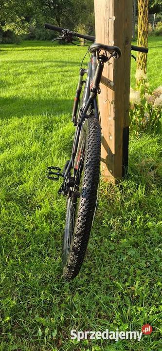 Focus Whistler 29R Sport Series rozmiar L MTB 29 Jedwabno