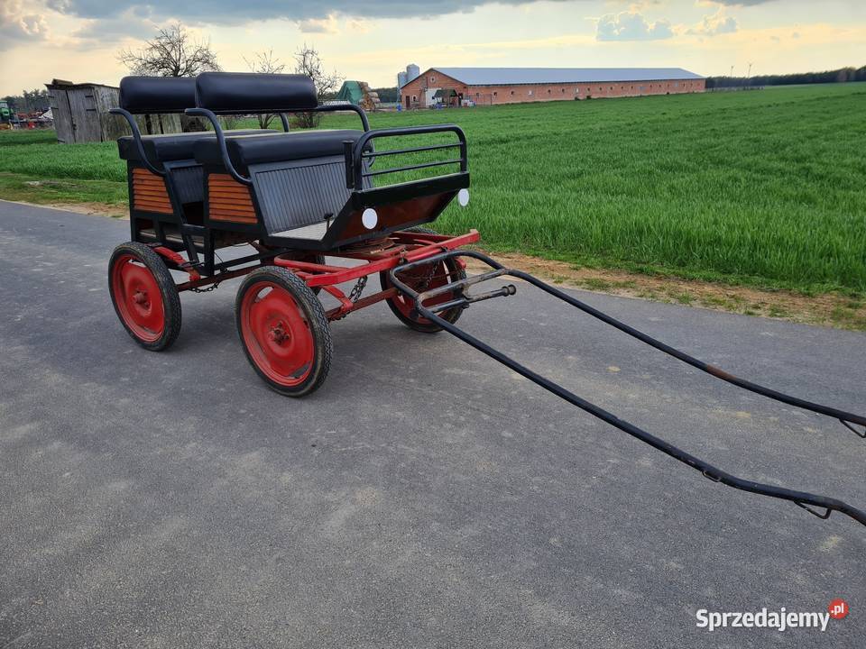 Bryczka do konia Turek