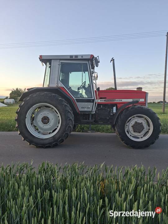 Massey Ferguson 3080 sprzedam