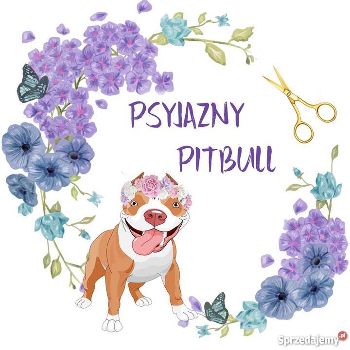 Strzyżenie Psów Psi Fryzjer Tarchomin Białołęka Warszawa