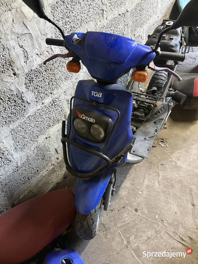 Tgb 101s Orion 50cc Bytonia