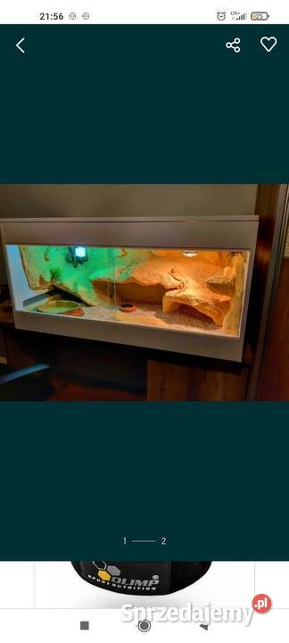 Okazja terrarium agamy gekona żółwia węża mazowieckie