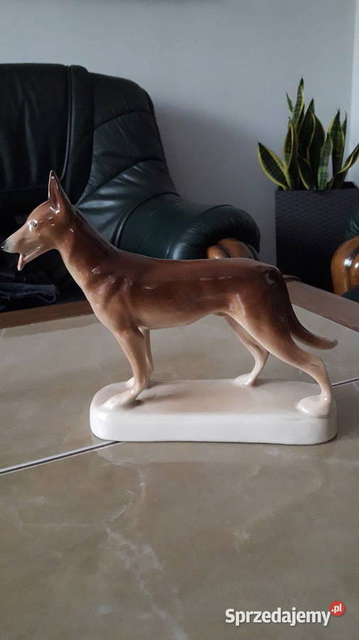 Pies Wilczór Chodzież lata 60 te PRL Antyki, Sztuka, Kolekcje Janów Lubelski