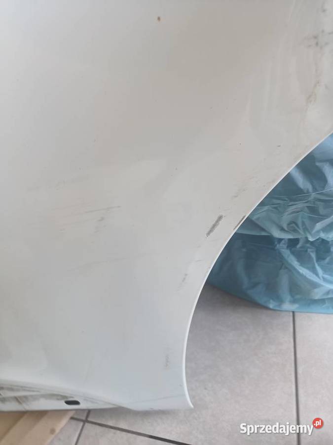 DRZWI PRAWE PRZEDNIE RENAULT TRAFIC III 2014R Banino