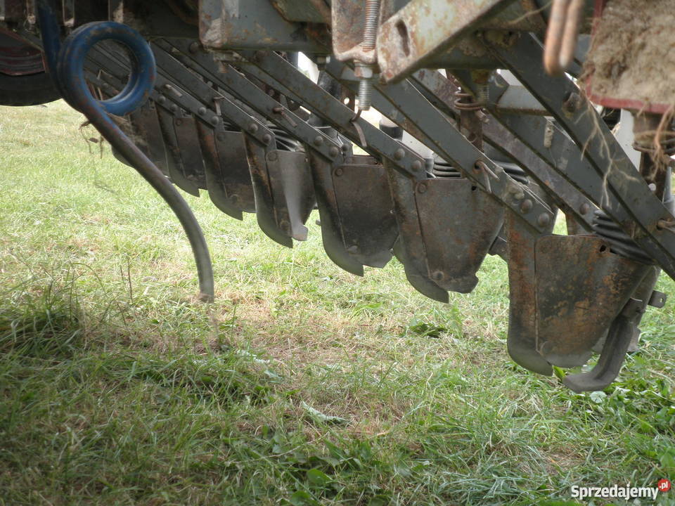 SIEWNIK POZNANIAK Mniów