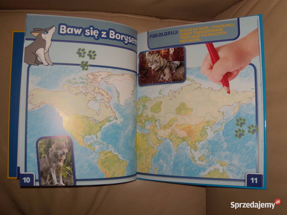 Wilk Borys Świat dzikich maluchów twarda Warszawa sprzedam