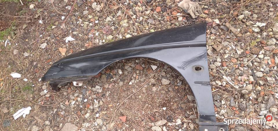 Błotnik alfa 145146 wielkopolskie