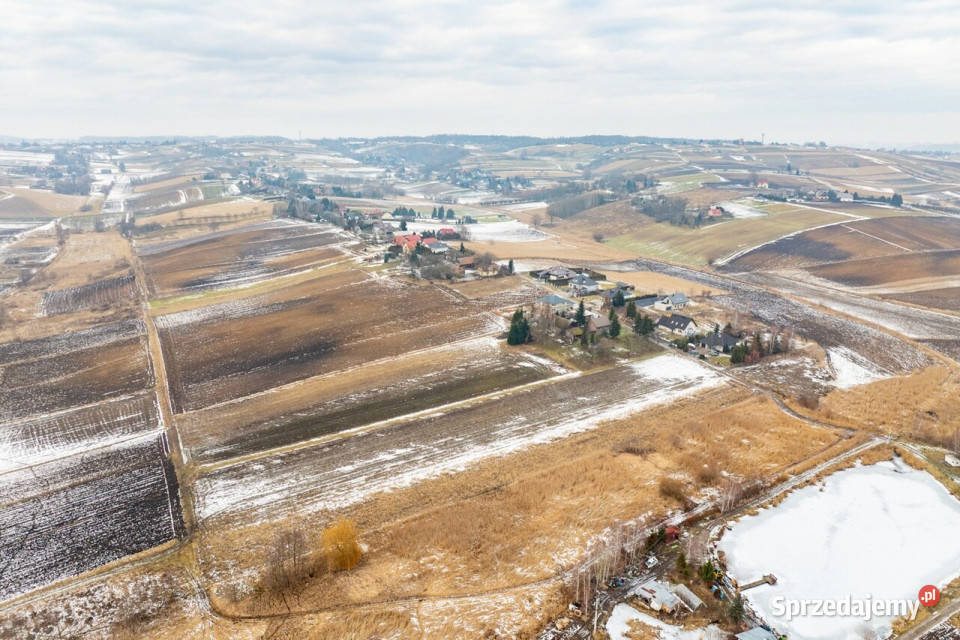 Działka rolna zagrodowa Pietrzejowice 18zł/m2 Grunty i działki