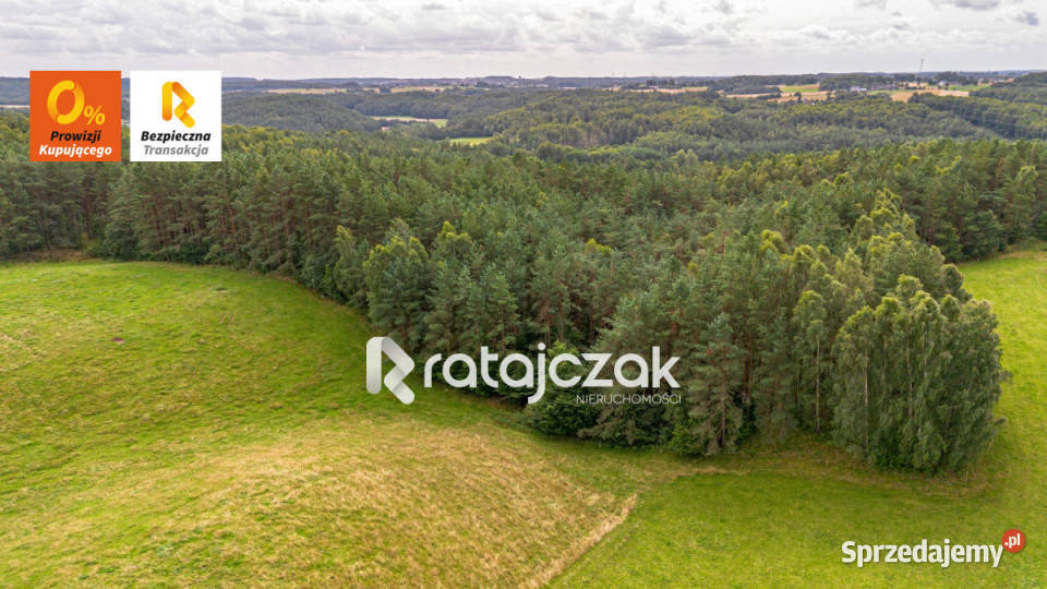 Grunt Milwino 3111m2 Sprzedaż