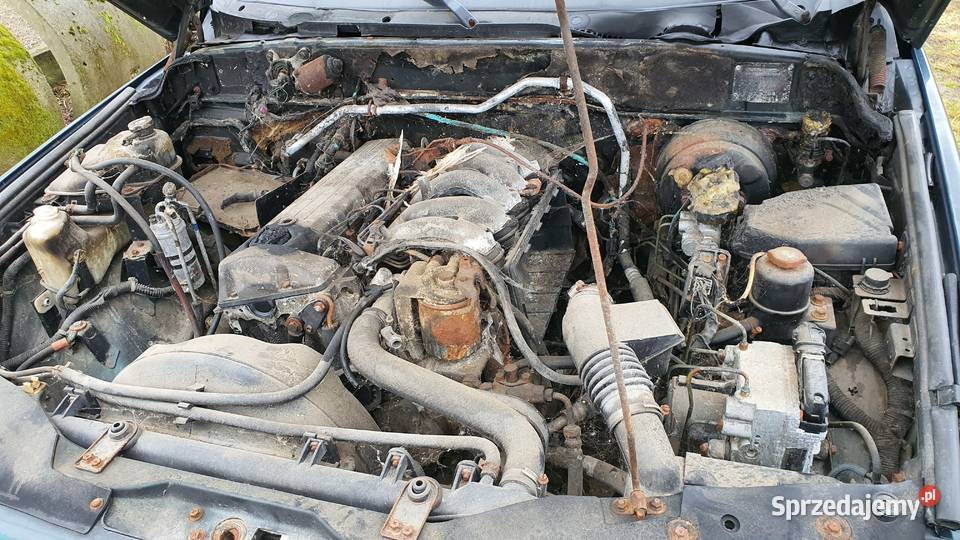 Sprzedam daewoo 29 Musso Trawniki sprzedam