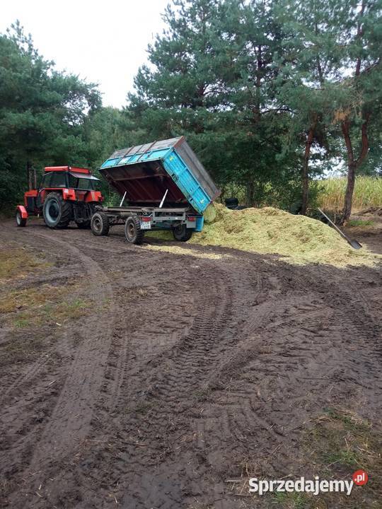 Ursus 1212 6 cylindrów Chełm