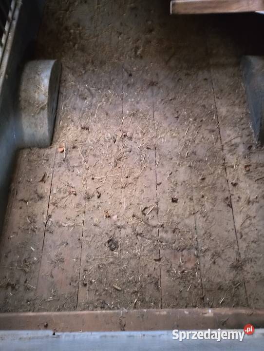 Przyczepka do przewozu zwierząt nieuszkodzony Przyczepy rolnicze Sztabin