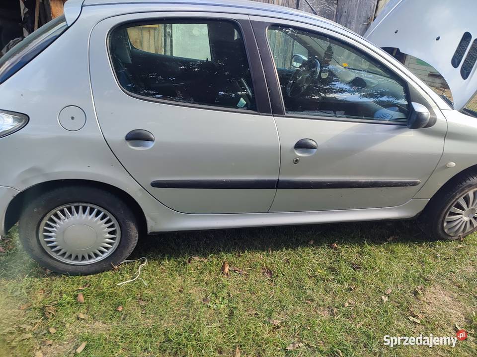 Peugeot 206 Tarzymiechy Drugie