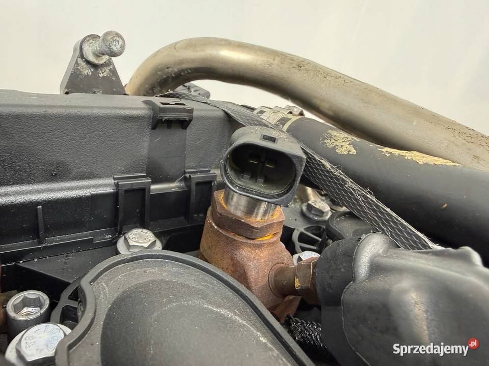 SILNIK G6DB Ford C C 20 TDCI 136 G6DA G6DD G6DG osobowe lubelskie Chełm