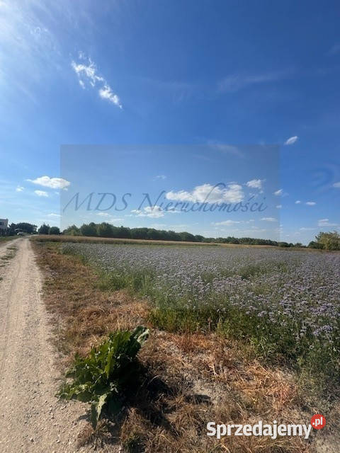 działka pod domy wolnostojące media mazowieckie Nowa Wola