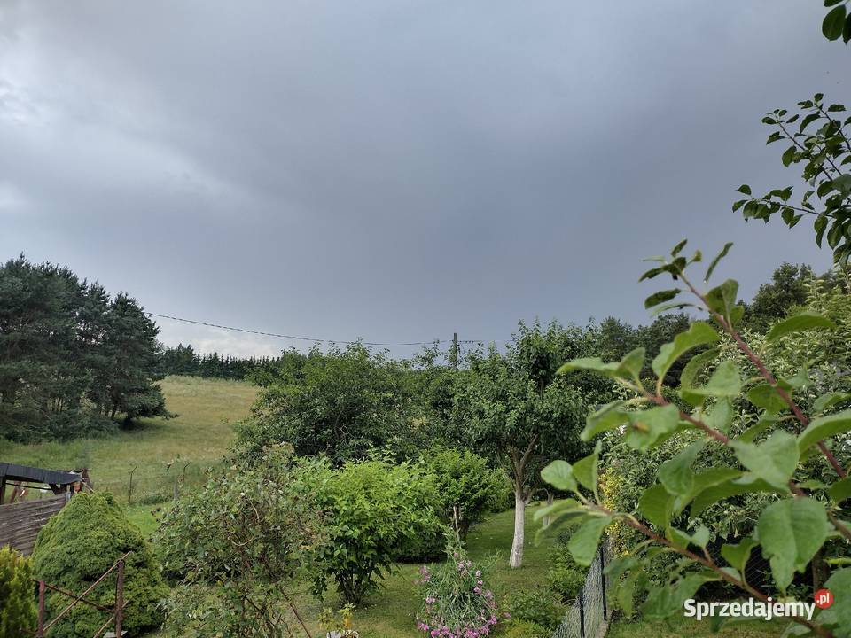 Działka ROD z domkiem 2025 Aleksandrów Kujawski kujawsko-pomorskie sprzedam