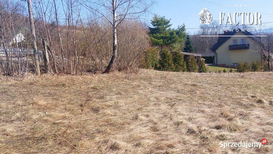 Działka budowlana 1667 ara w Bieśniku 1186S2026 budowlana małopolskie Bieśnik sprzedam
