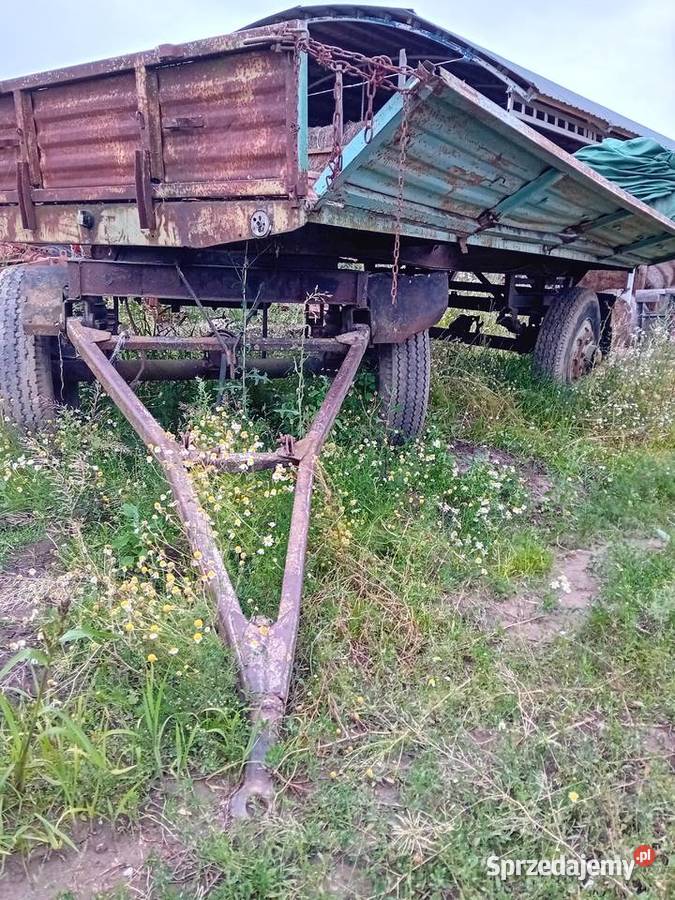 Przyczepa autosan d50 platforma Starogard Gdański sprzedam