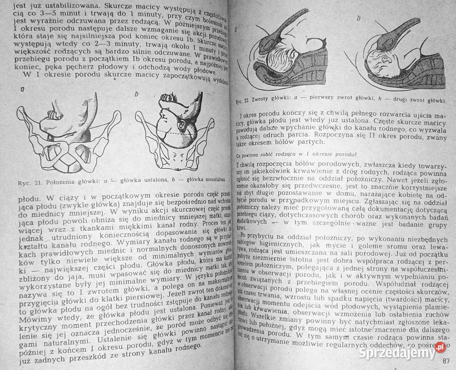 Kobieta mężczyzna dziecko Zbigniew Sternadl lubelskie Chełm