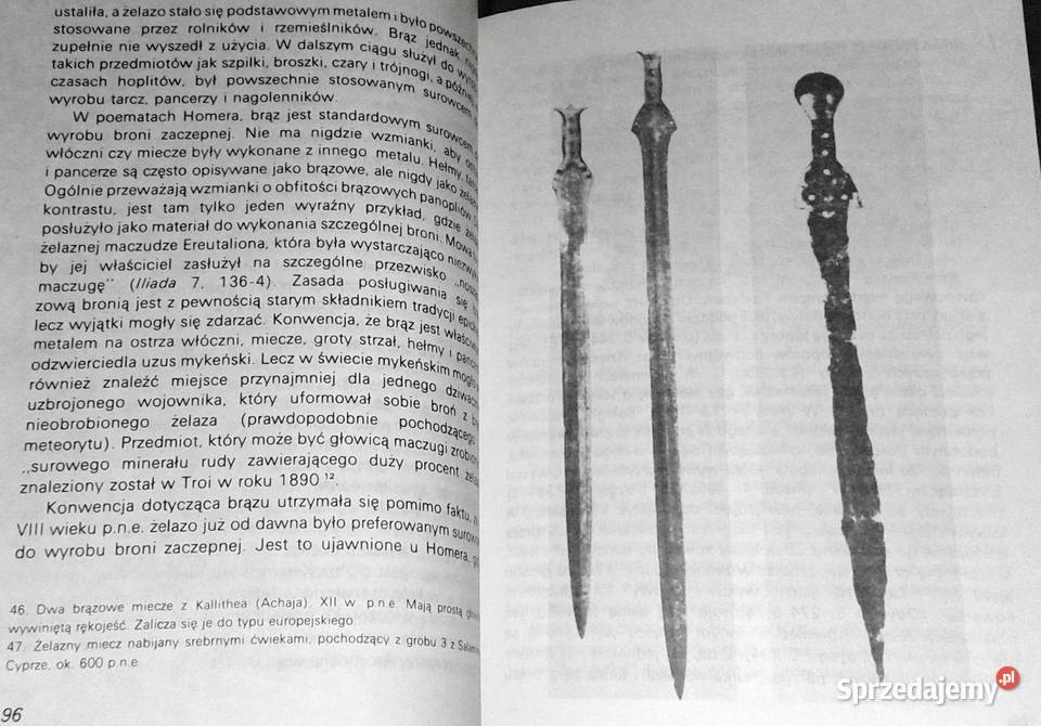 Homer i epoka heroiczna J V Luce miękka lubelskie