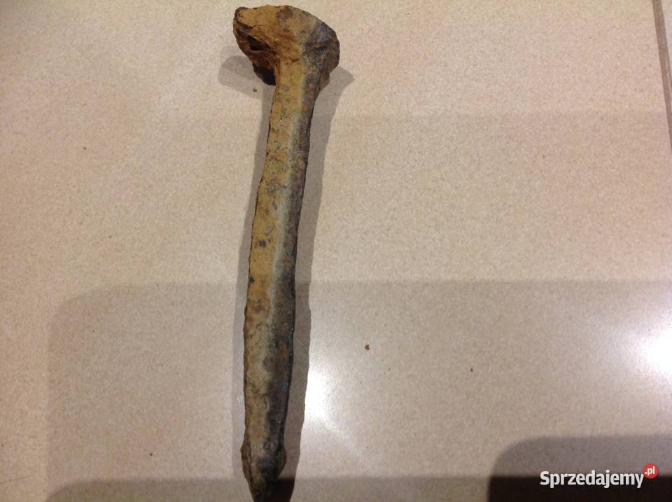 Duży Gwóźdź Kuty Zabytkowy Stary Pozostałe Nowa Sól