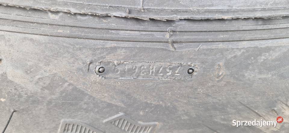 65065r42 6506542 Aliance bieżnik 99 bez napraw Nowe Miasto Lubawskie